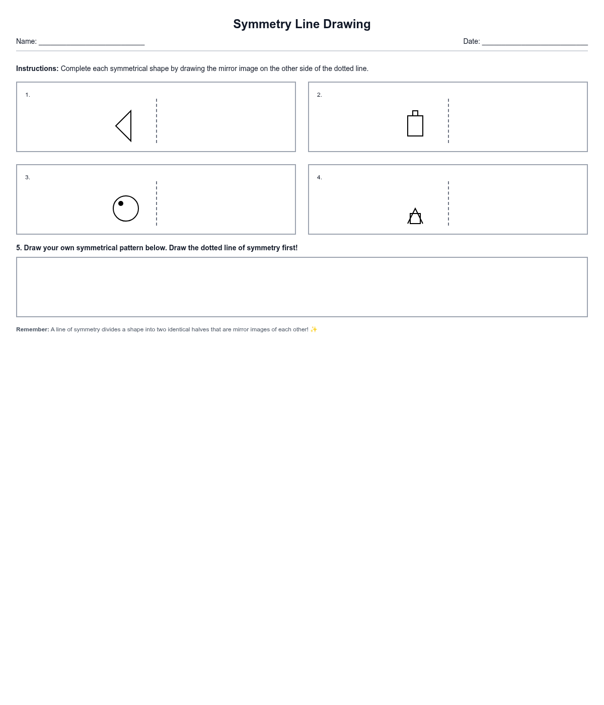 Symmetry Line Drawing