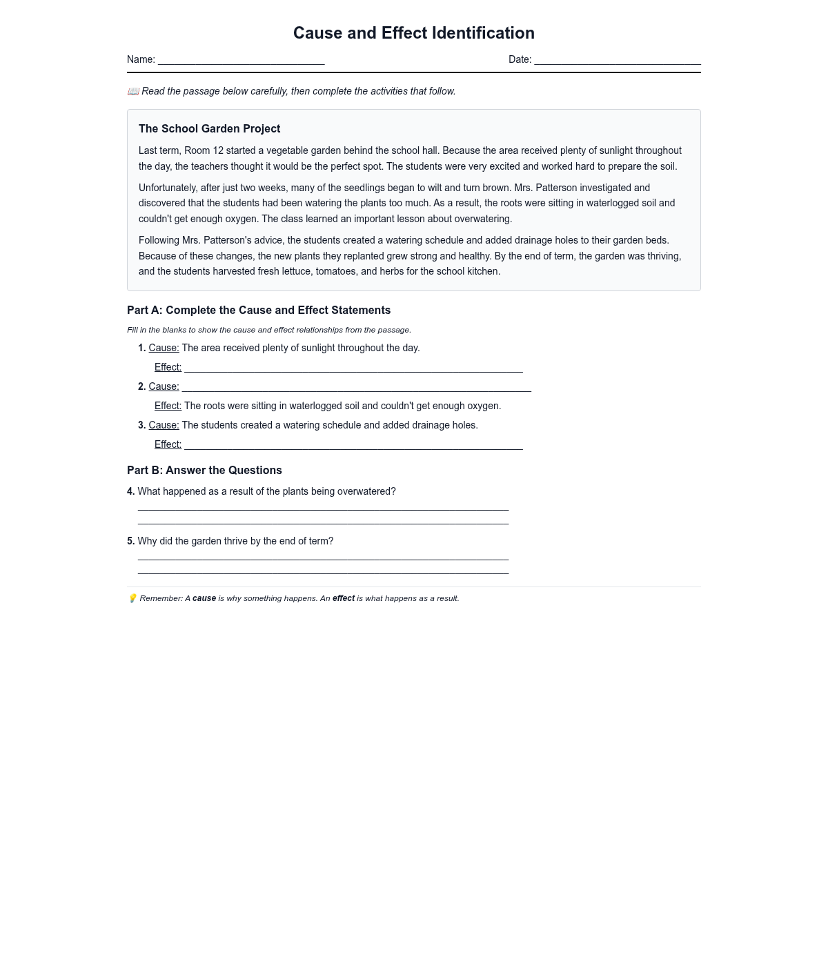 Cause and Effect Identification
