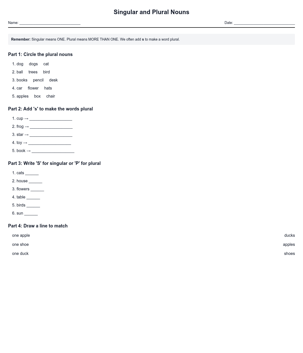 Singular and Plural Nouns
