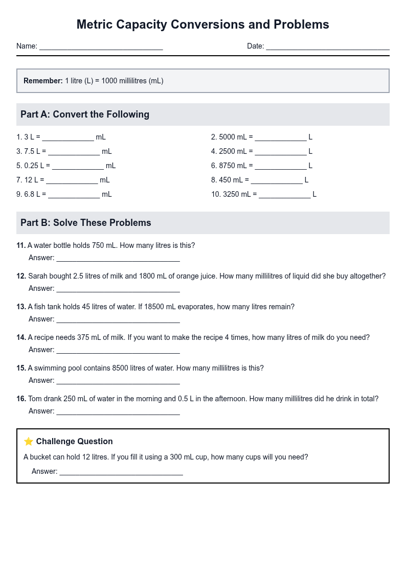 Metric Capacity Conversions and Problems