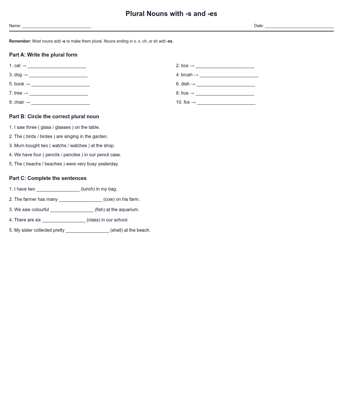 Plural Nouns with -s and -es
