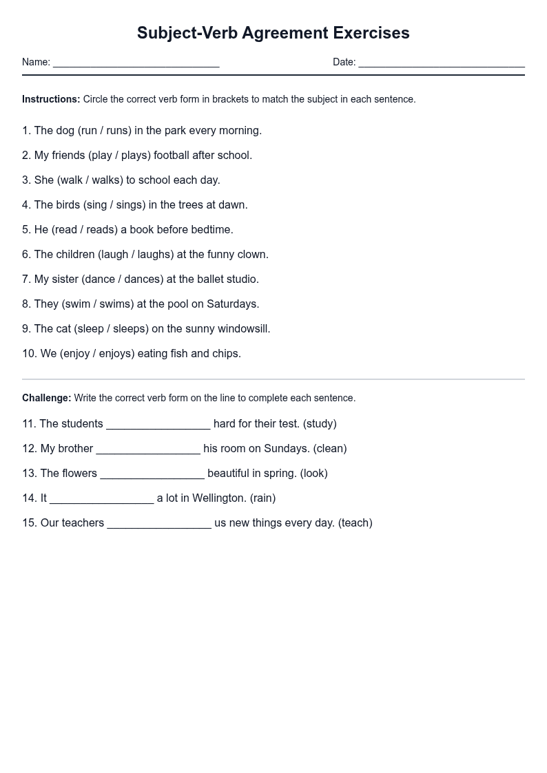 Subject-Verb Agreement Exercises