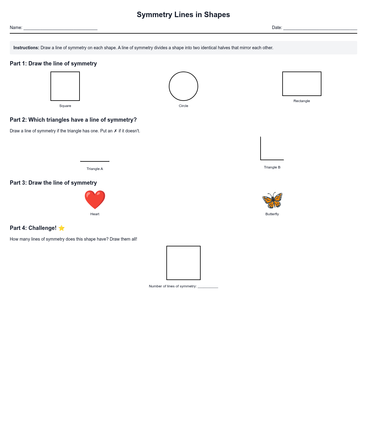 Symmetry Lines in Shapes